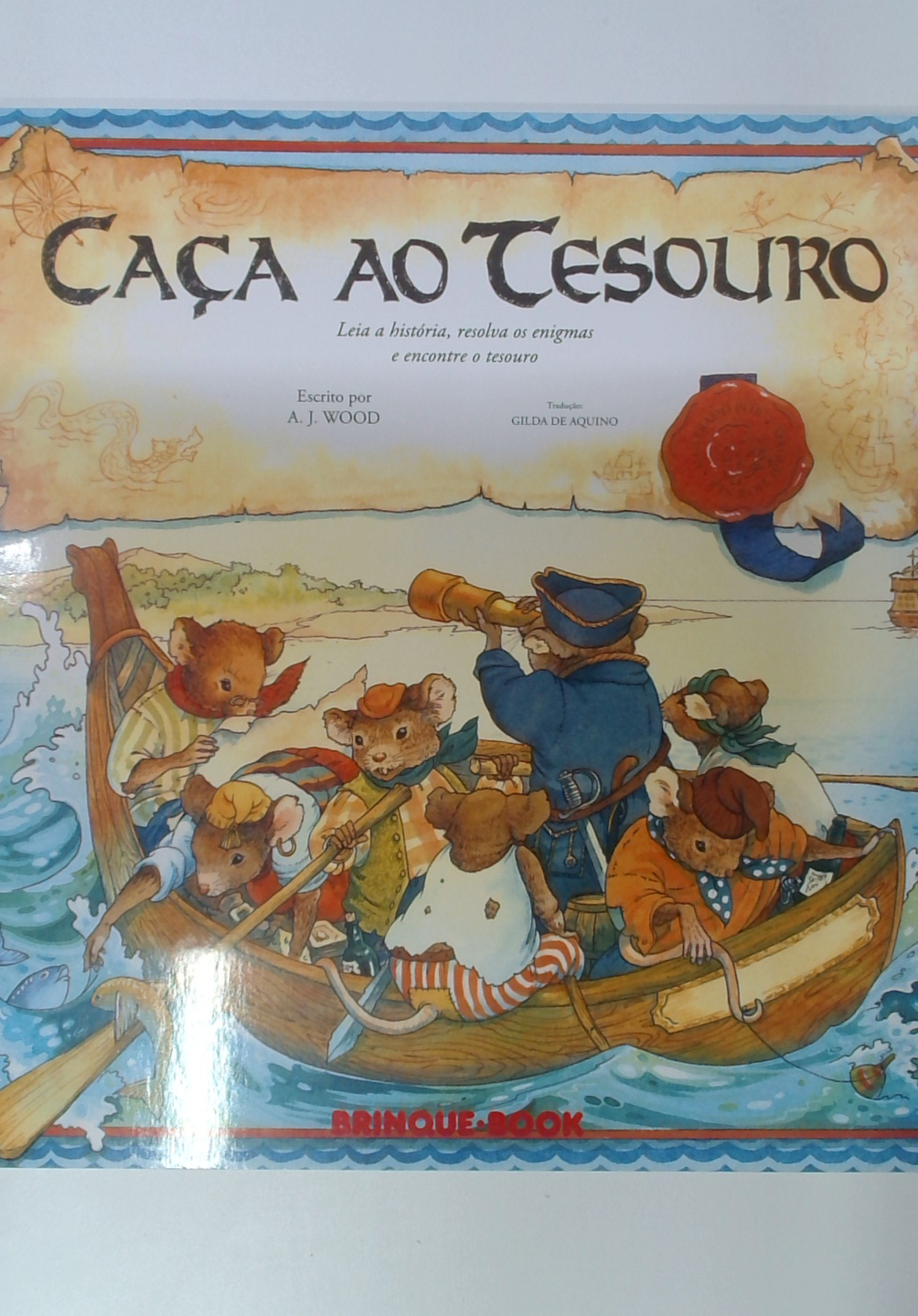 Capa do livro Caça ao Tesouro