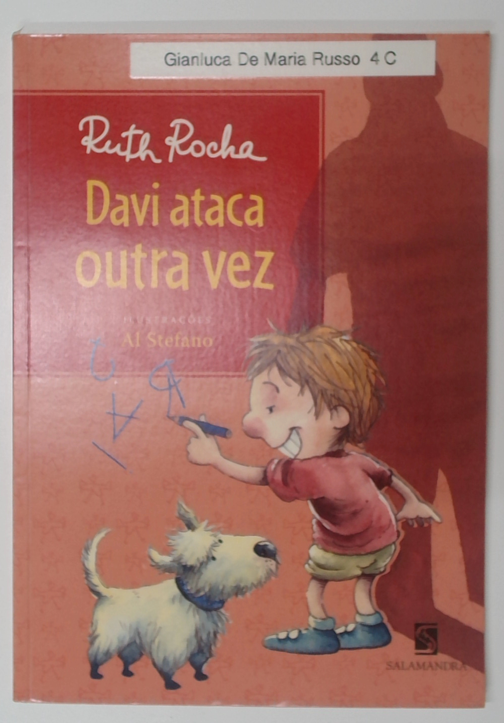Capa do livro Davi Ataca Outra Vez