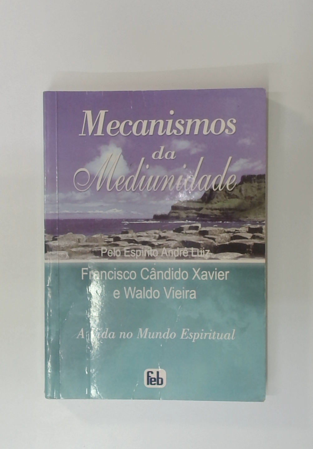 Capa do livro Mecanismos da Mediunidade