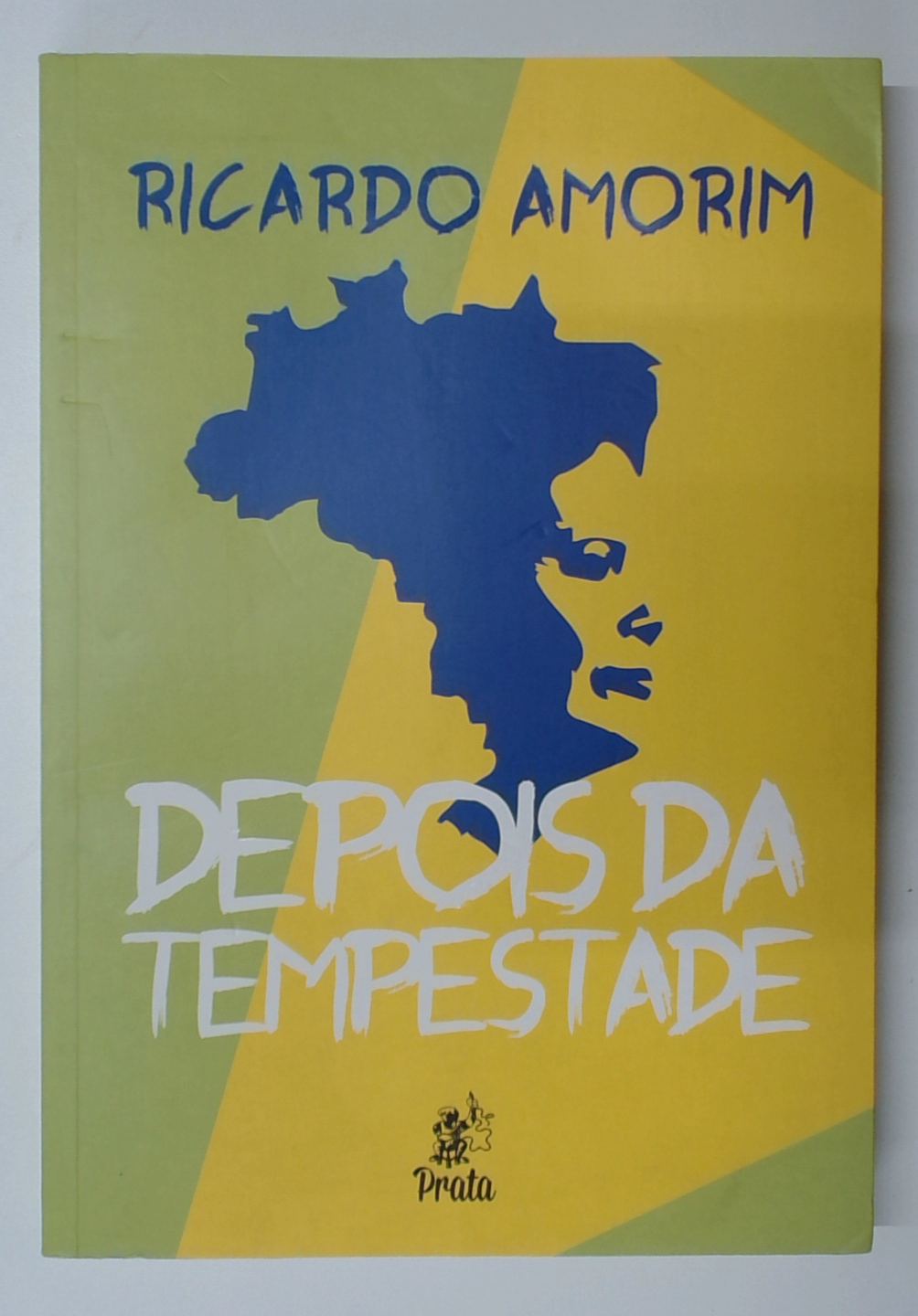 Capa do livro Depois da Tempestade