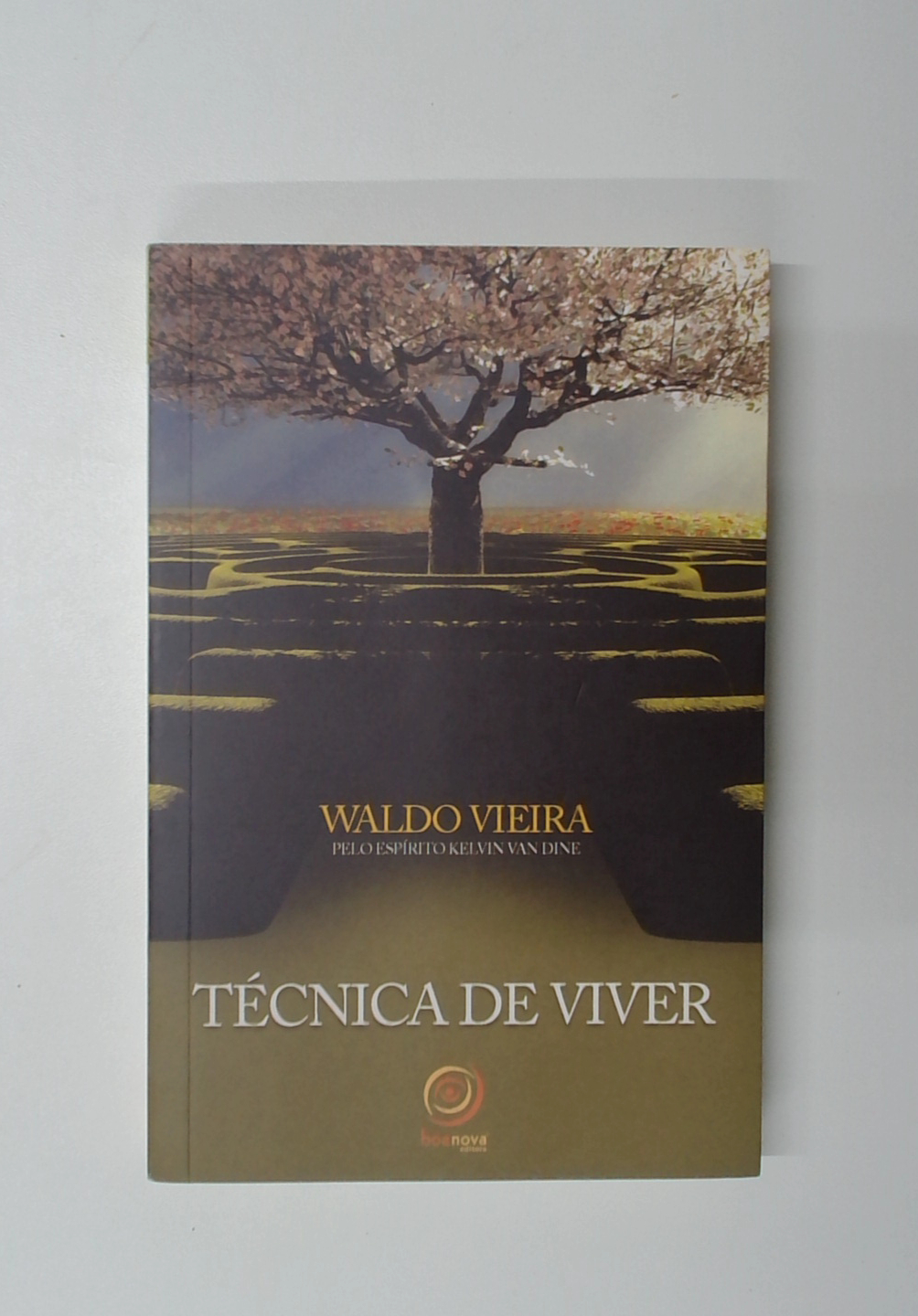 Capa do livro Técnica de Viver