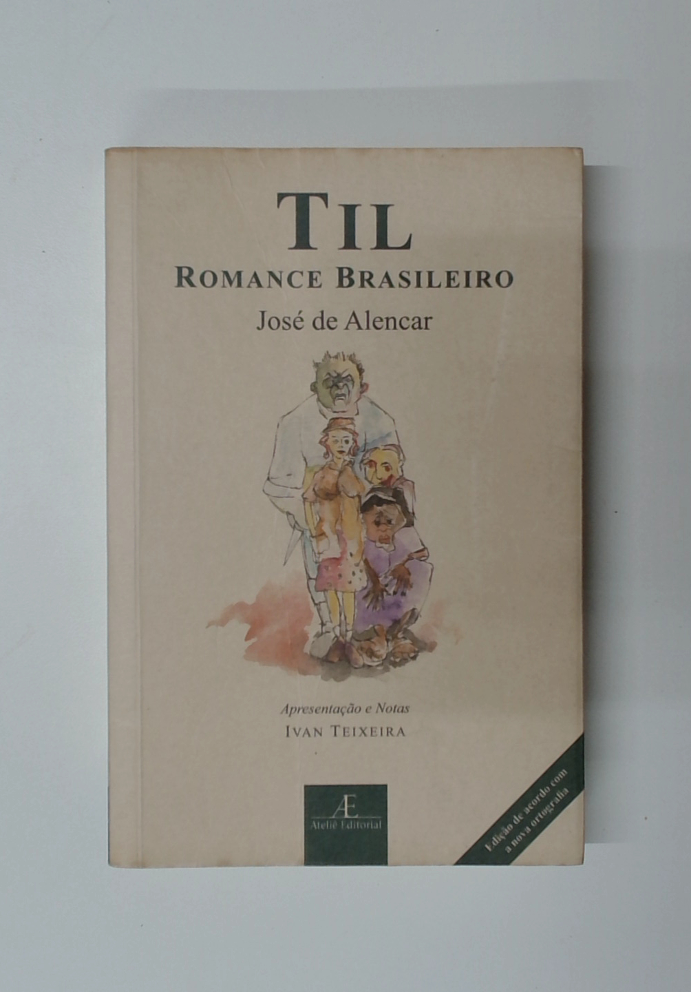 Capa do livro Til: Romance Brasileiro