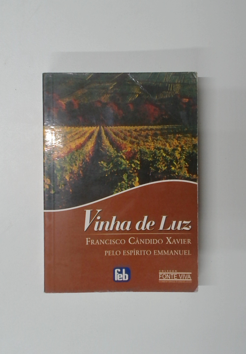 Capa do livro Vinha de Luz