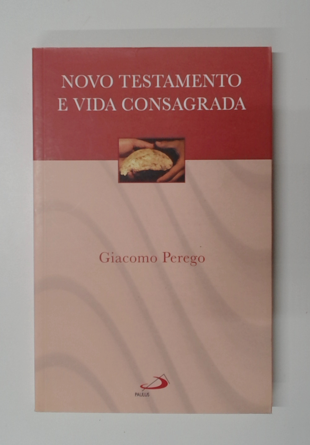 Capa do livro Novo Testamento e Vida Consagrada