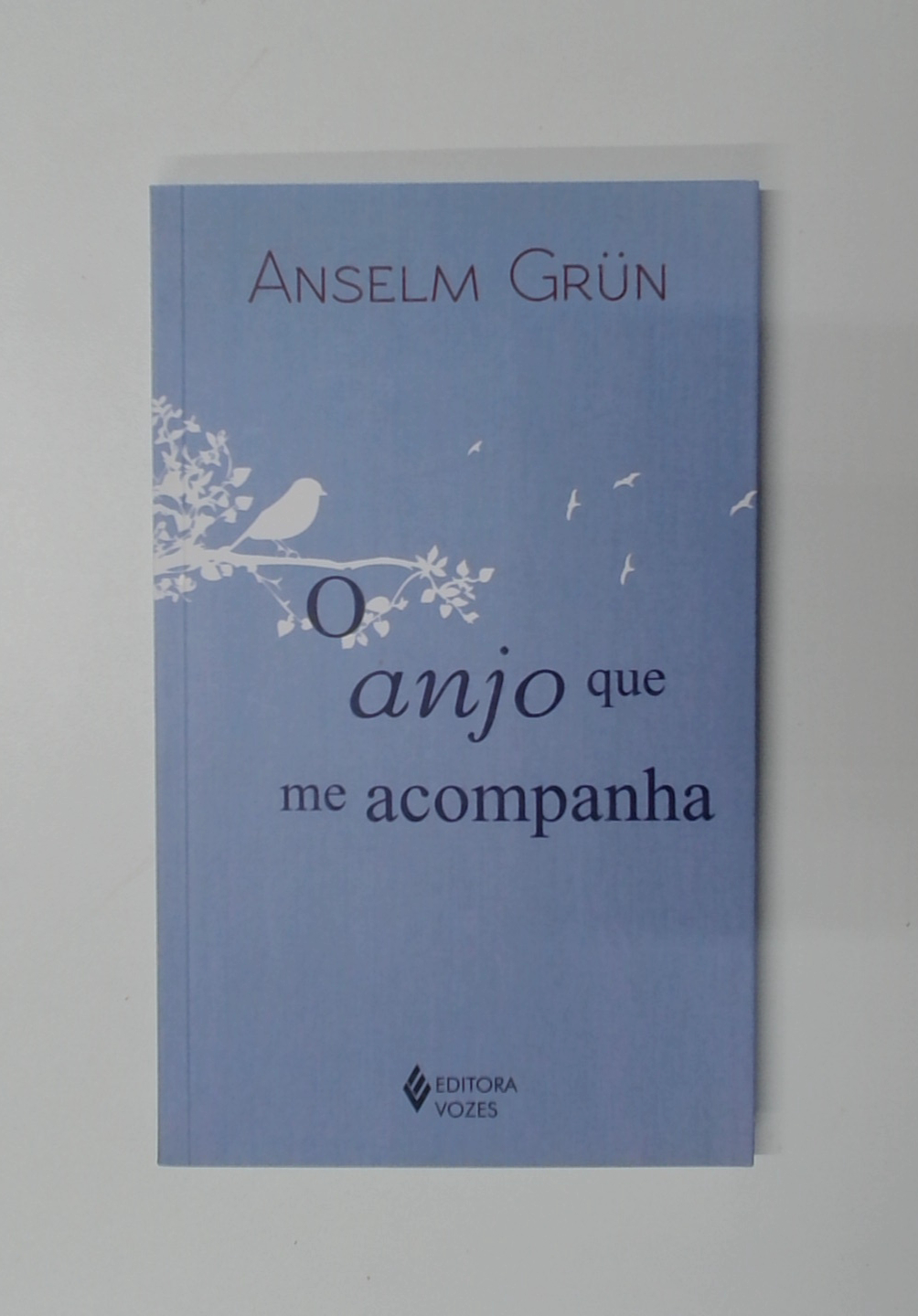 Capa do livro O Anjo que Me Acompanha