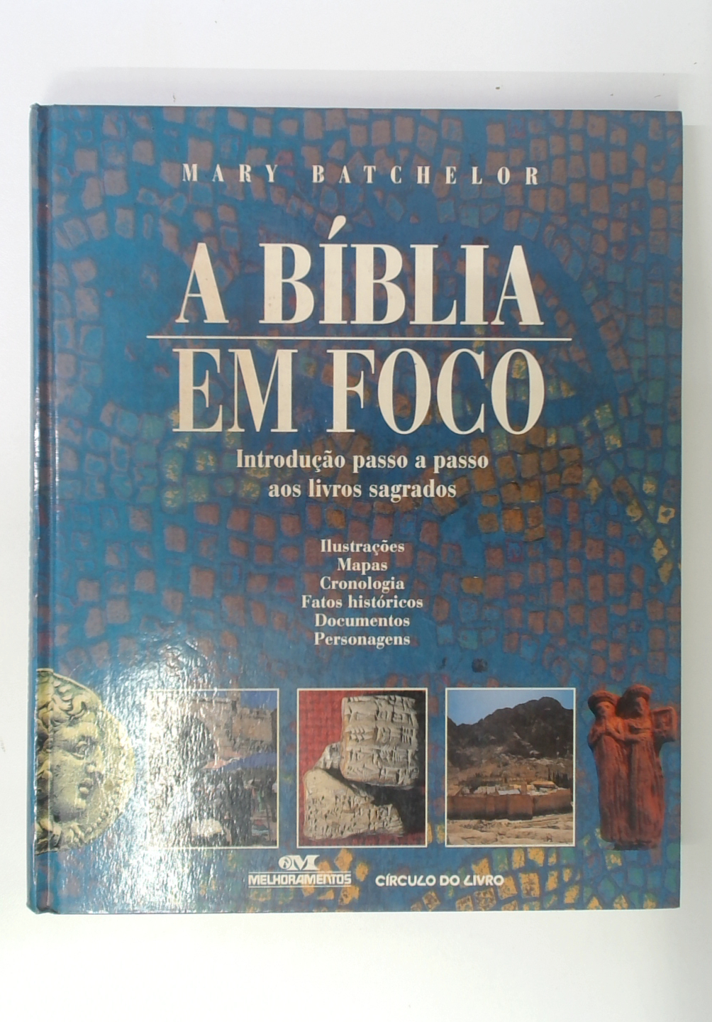 Capa do livro A Bíblia em Foco