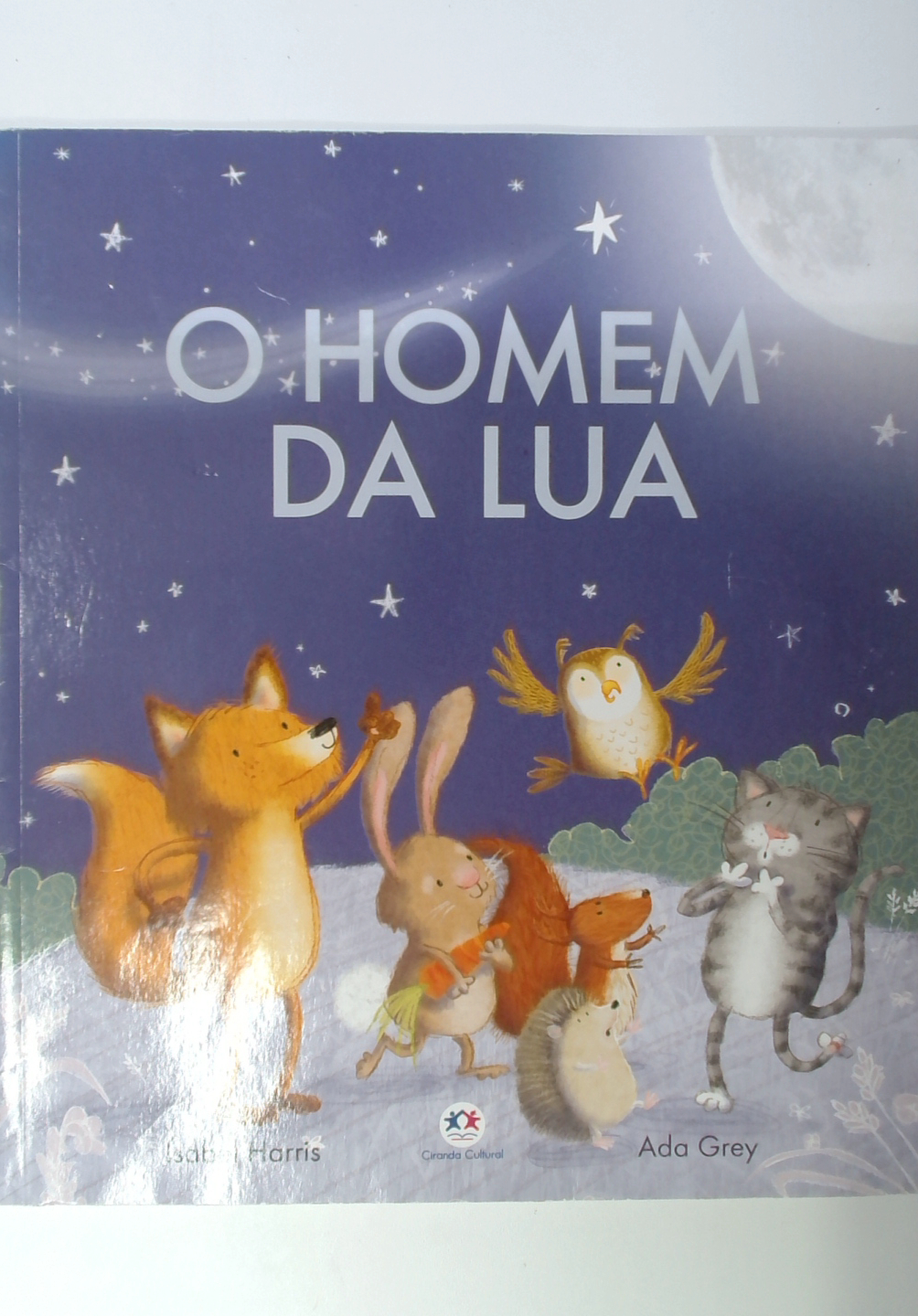 Capa do livro O Homem da Lua