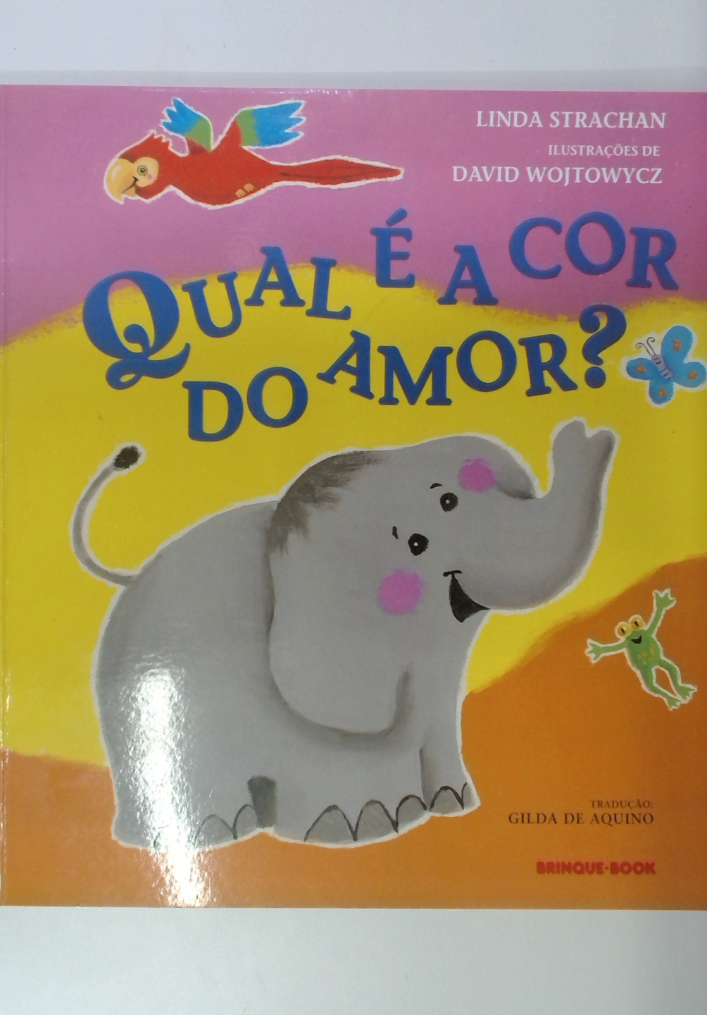 Capa do livro Qual é a Cor do Amor?