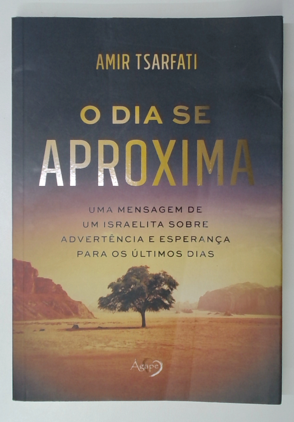 Capa do livro O Dia Se Aproxima