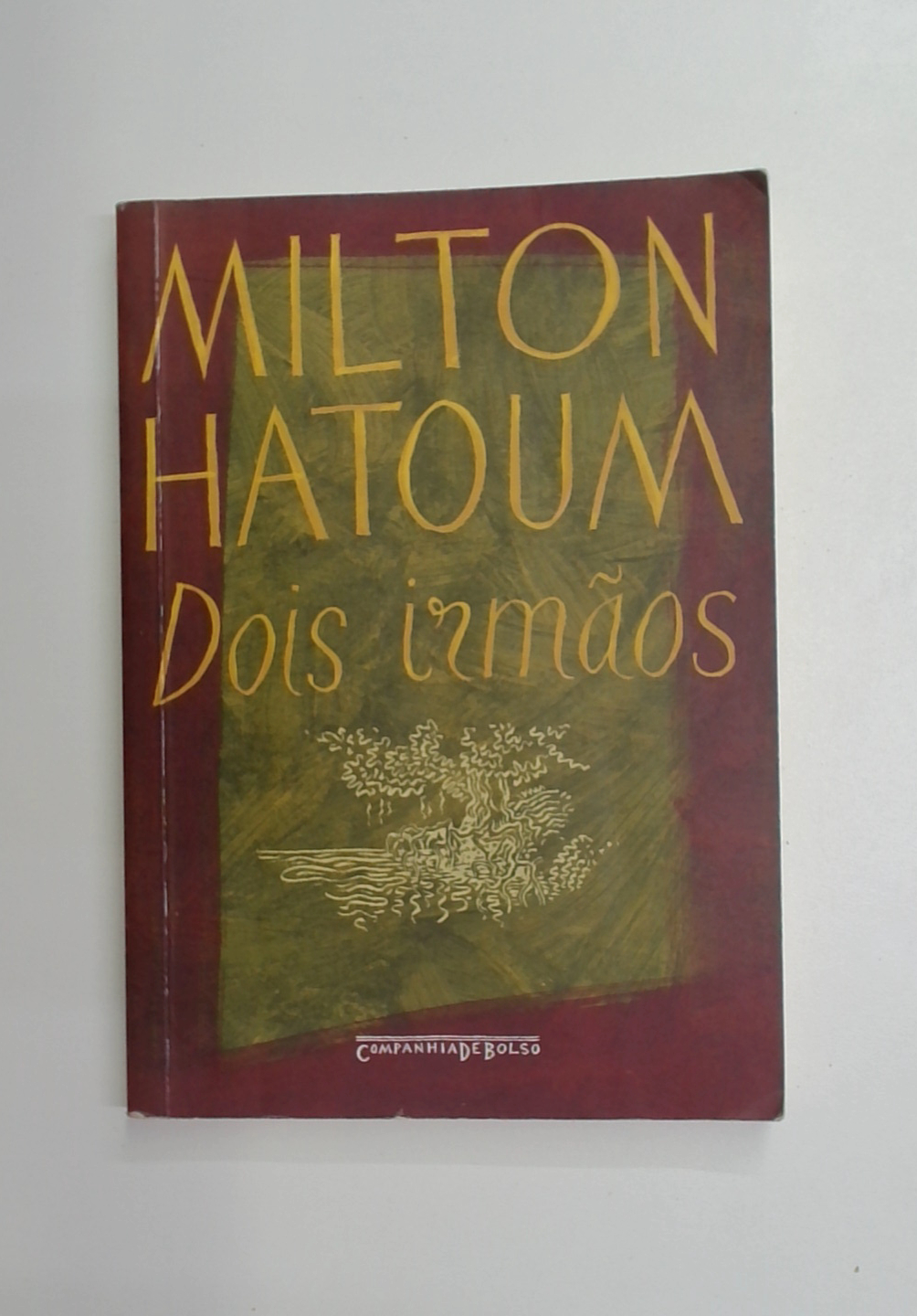 Capa do livro Dois Irmãos