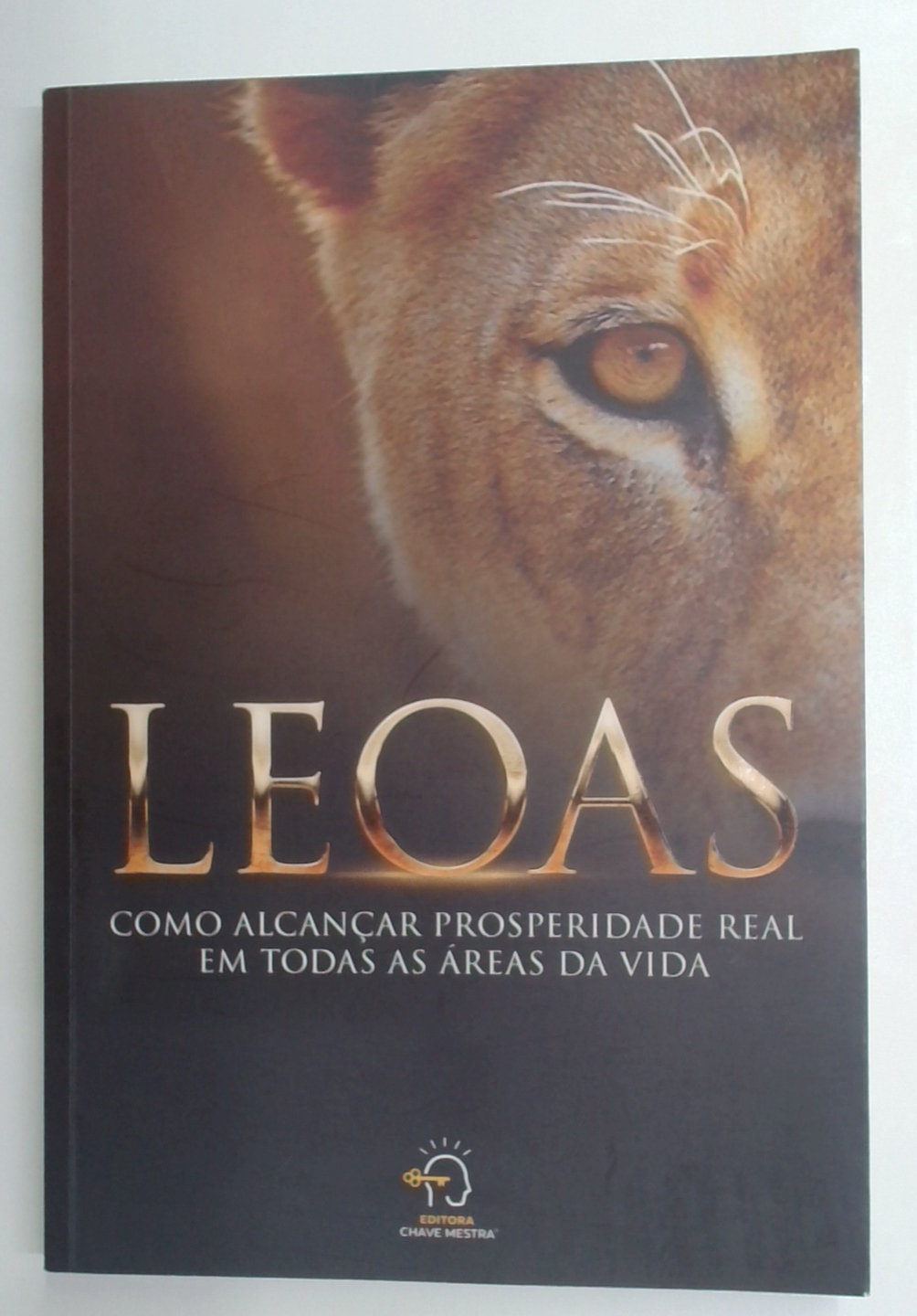 Capa do livro Leoas