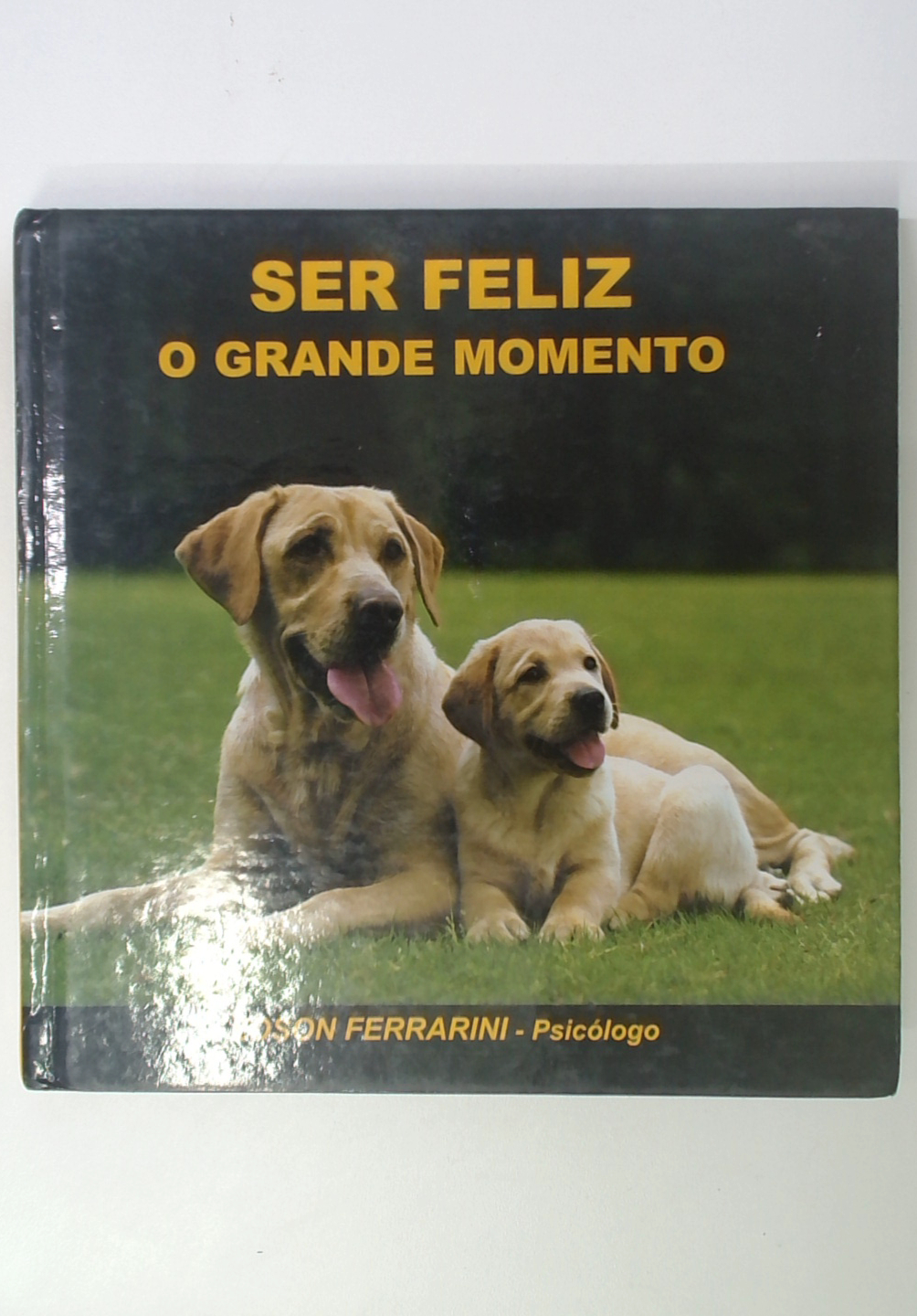 Capa do livro Ser Feliz - o Grande Momento