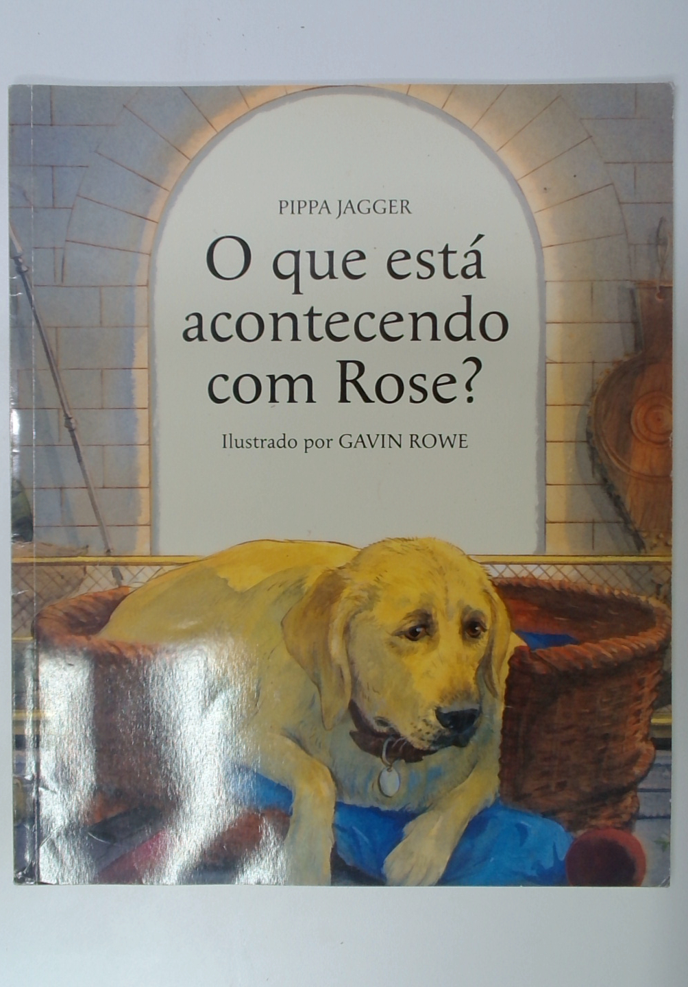 Capa do livro O que Esta Acontecendo com Rose?