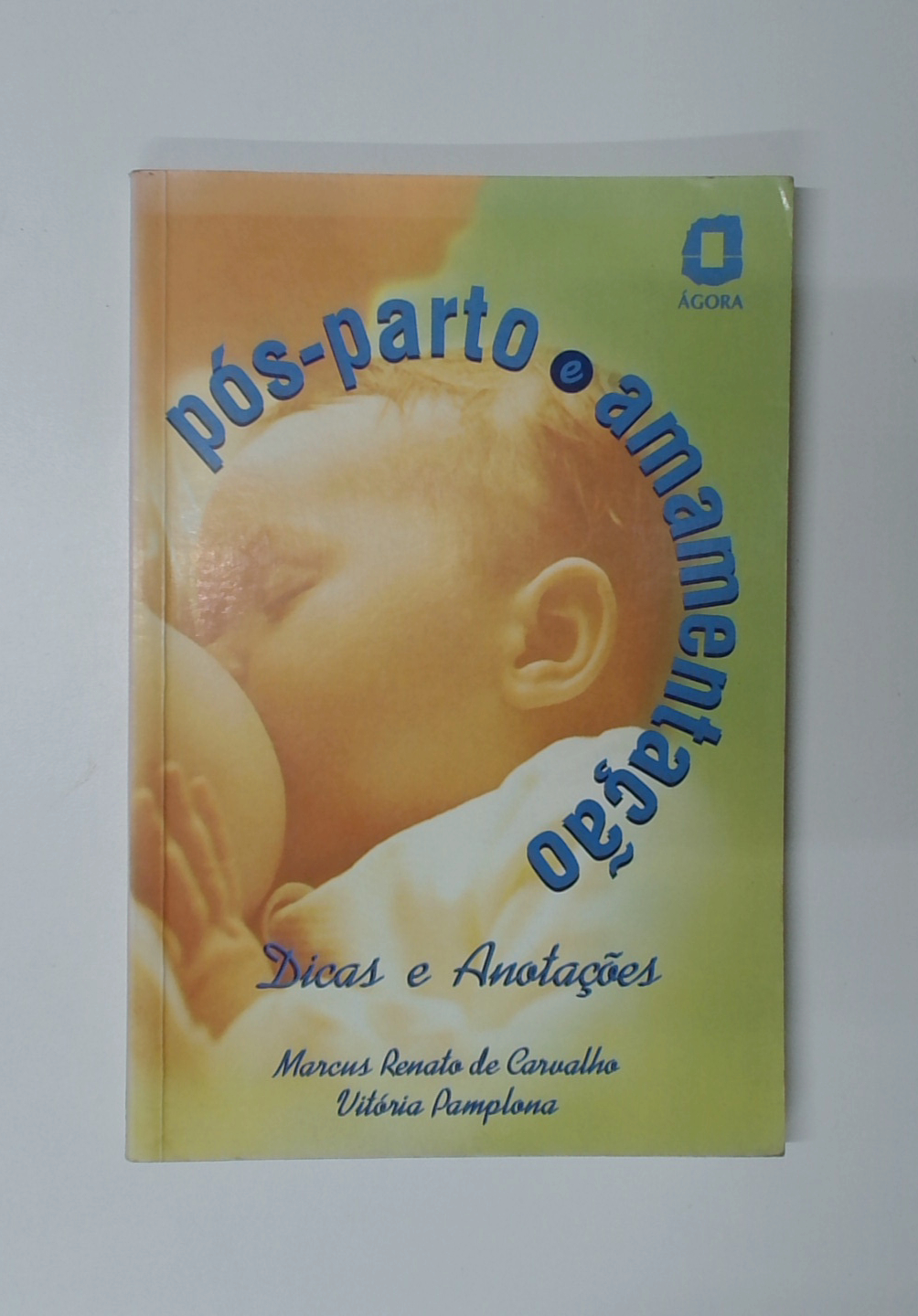 Capa do livro Pós-parto e Amamentação - Dicas e Anotações
