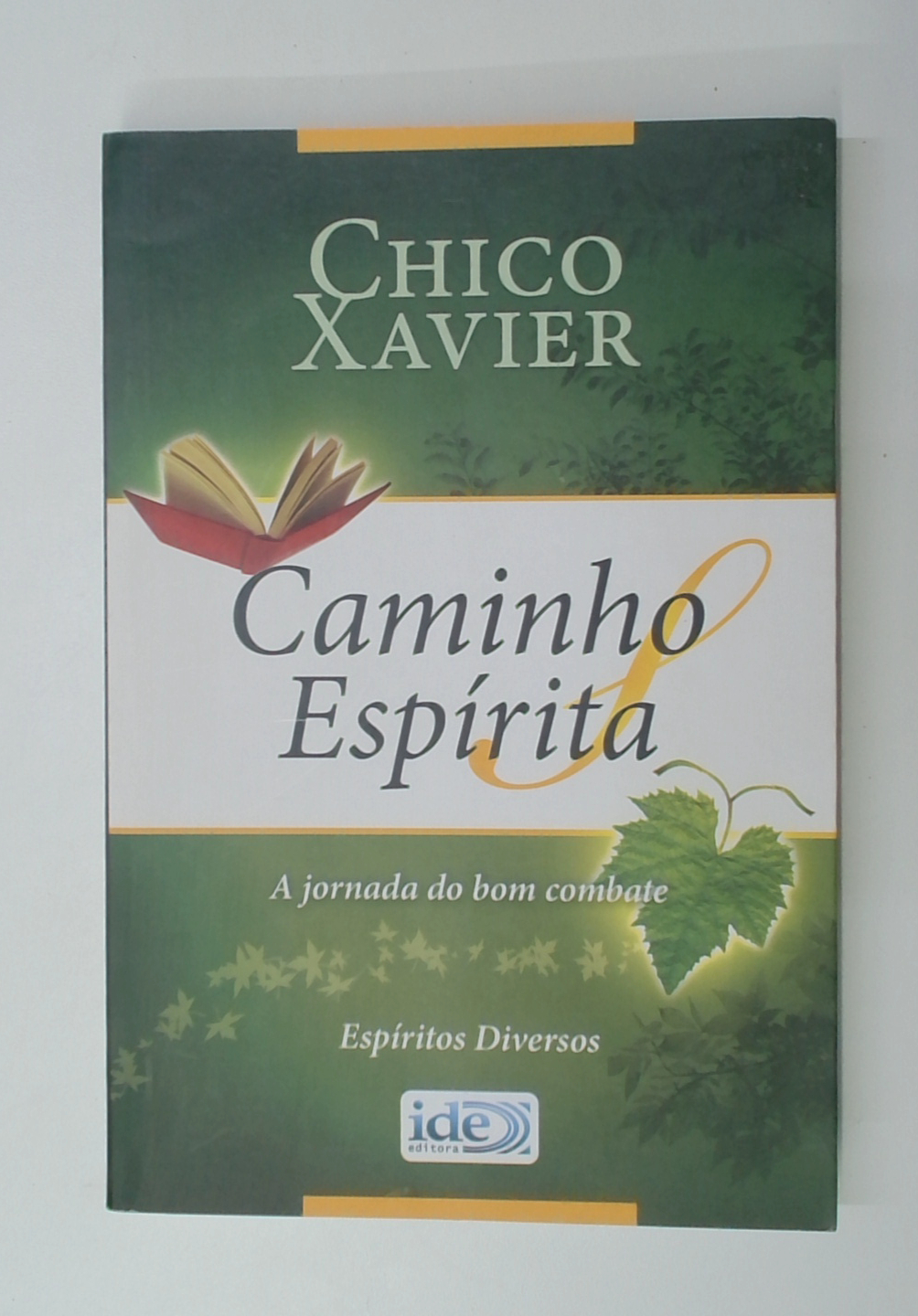 Capa do livro Caminho Espírita