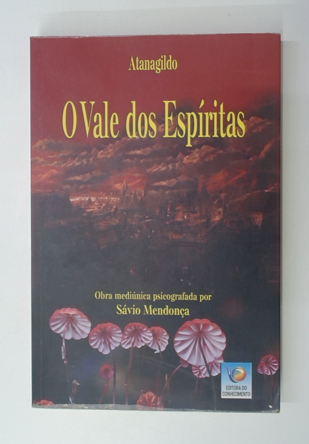 Capa do livro O Vale dos Espíritas