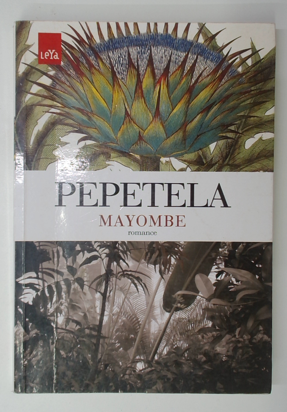 Capa do livro Mayombe