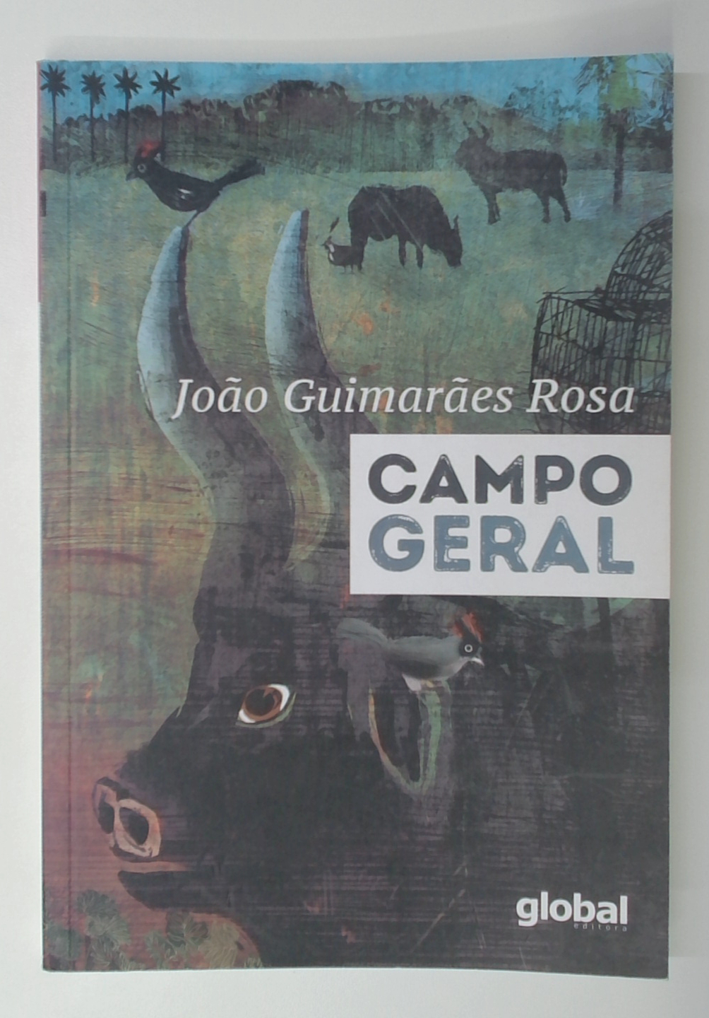 Capa do livro Campo Geral