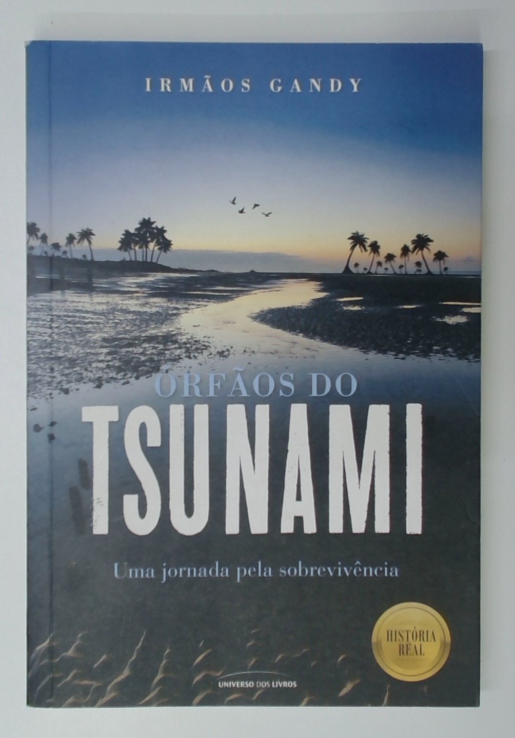 Capa do livro Órfãos do Tsunami: uma Jornada Pela Sobrevivencia