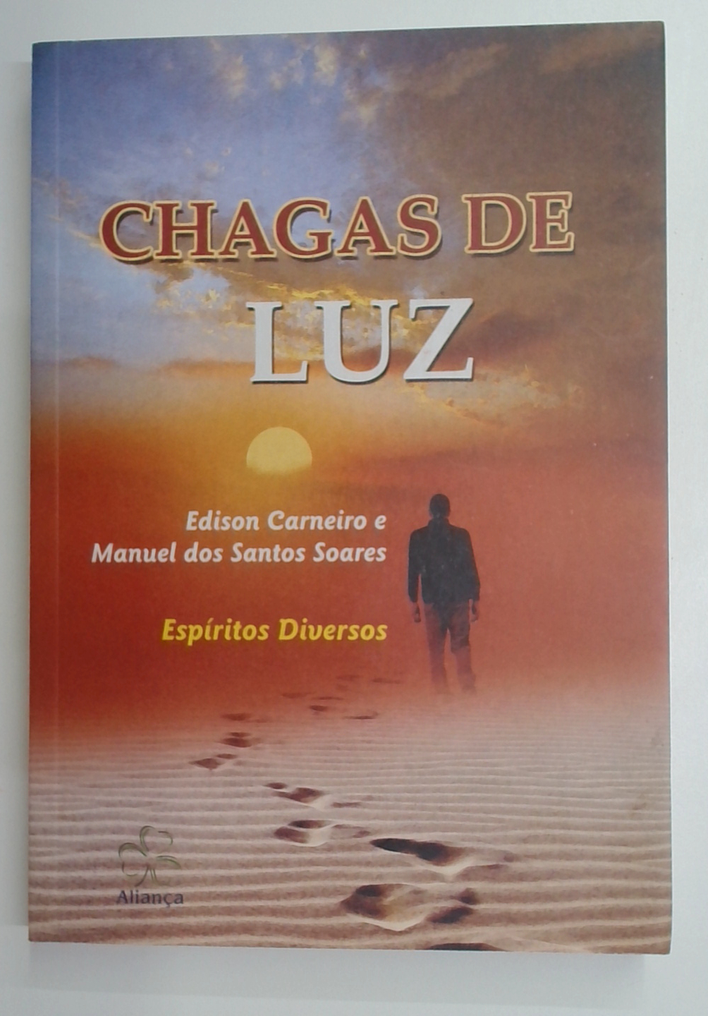 Capa do livro Chagas de Luz