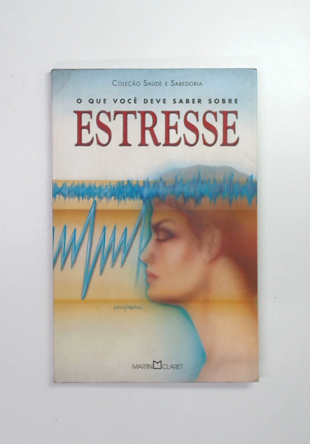 Capa do livro O que Você Deve Saber Sobre Estresse