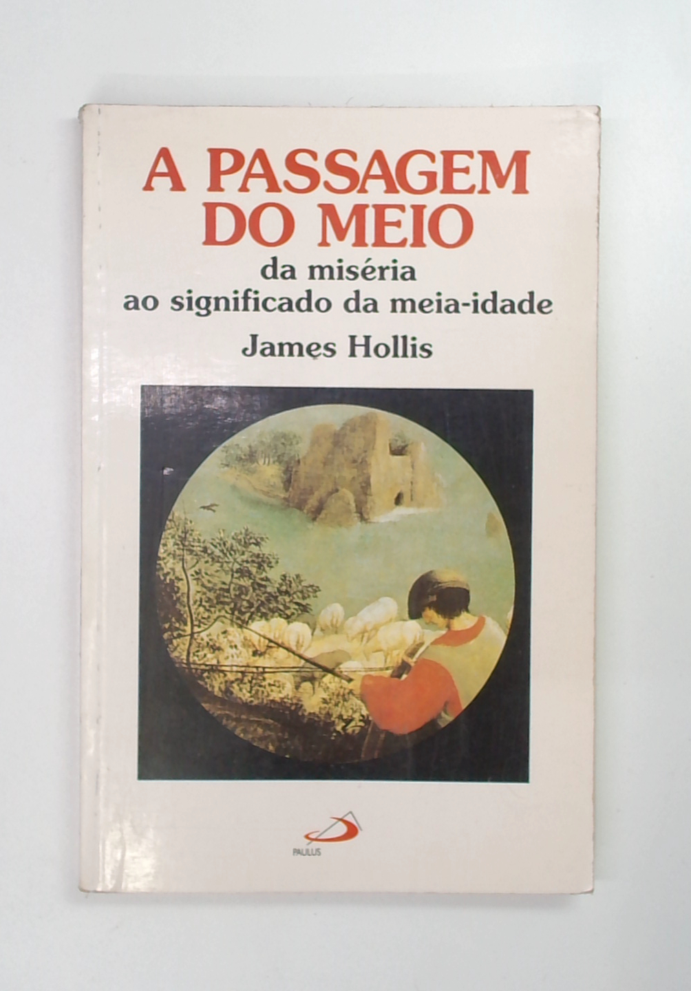 Capa do livro A Passagem do Meio - da Miséria ao Significado da Meia-idade