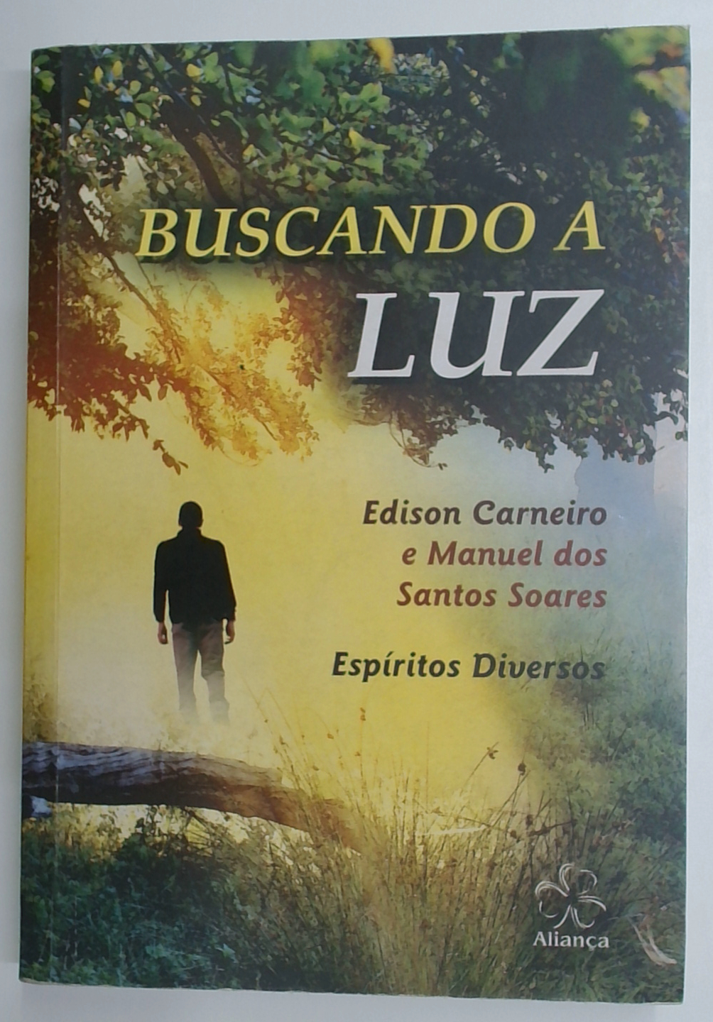 Capa do livro Buscando a Luz