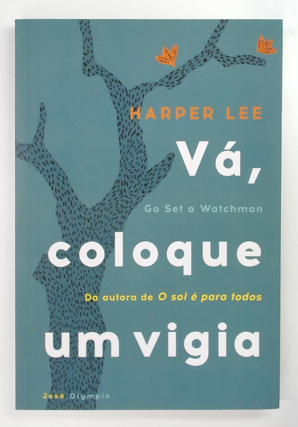 Capa do livro Vá, Coloque um Vigia