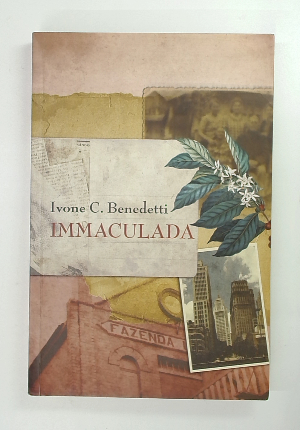 Capa do livro Immaculada
