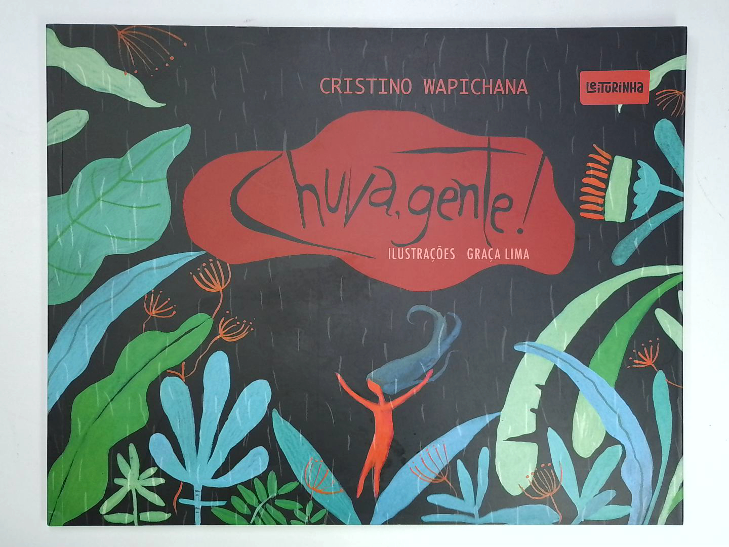 Capa do livro Chuva, Gente!