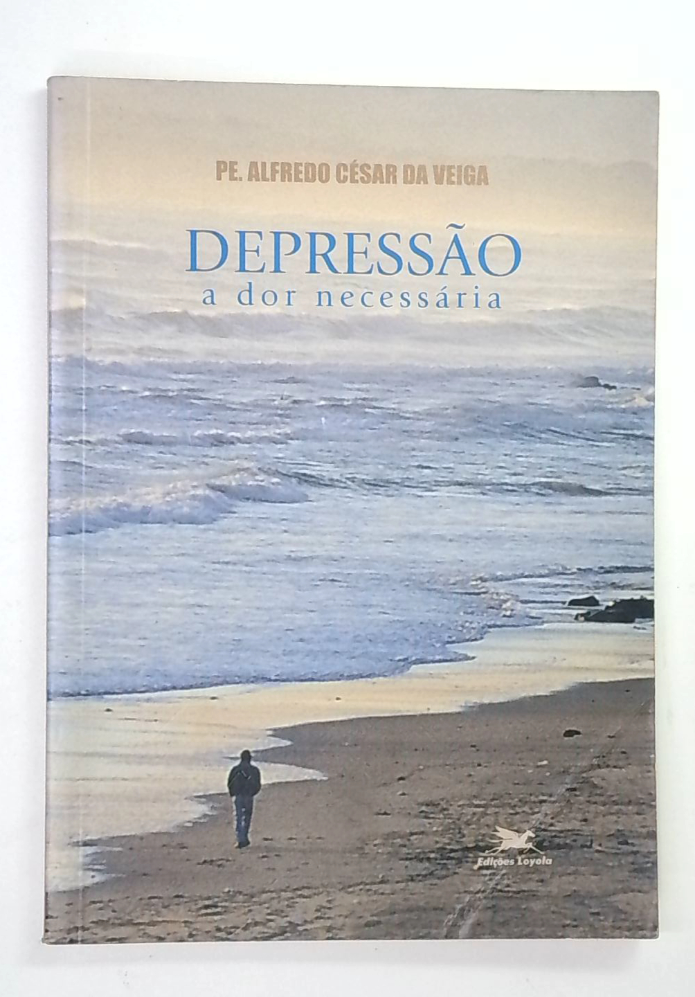 Capa do livro Depressão: A Dor Necessária