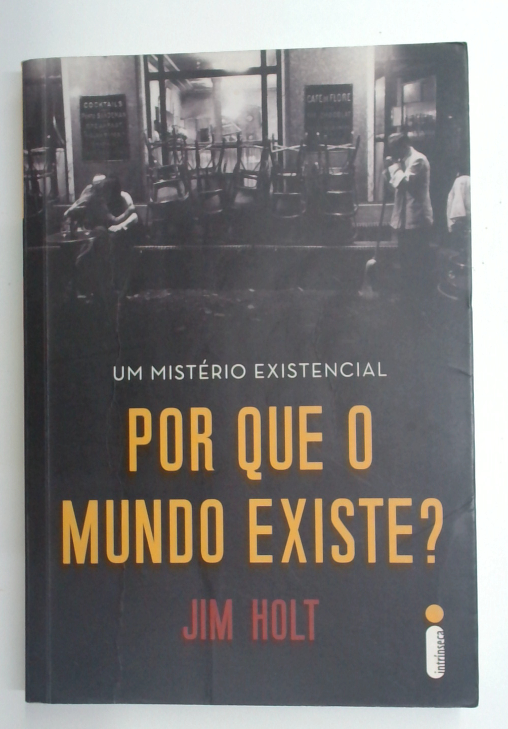 Capa do livro Por que o Mundo Existe?