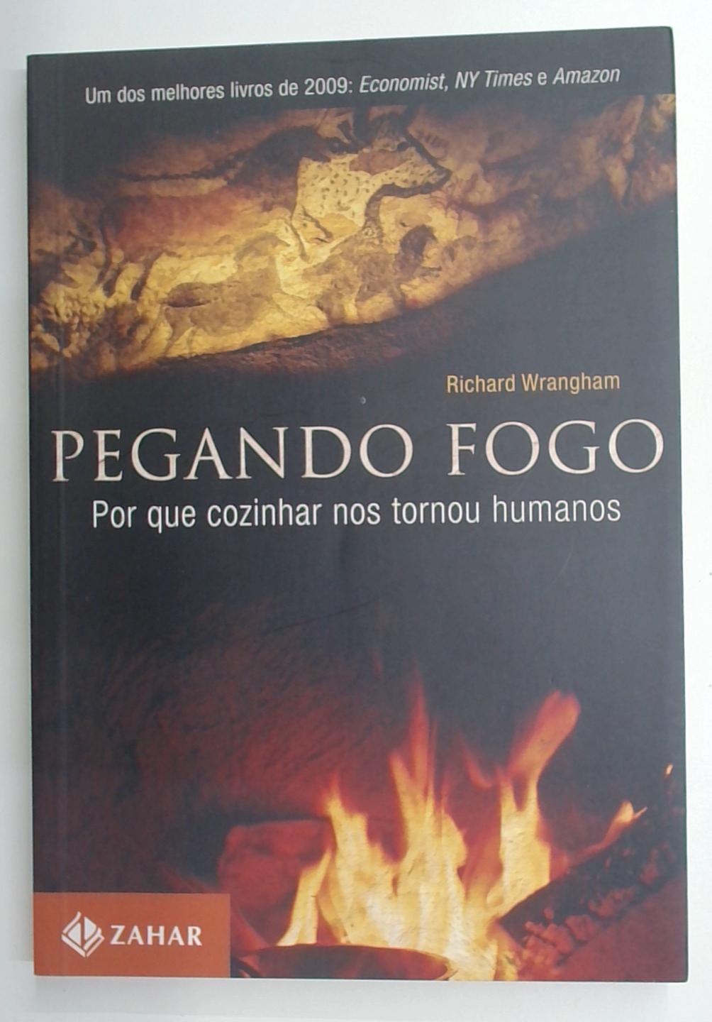 Capa do livro Pegando Fogo: Por Que Cozinhar Nos Tornou Humanos