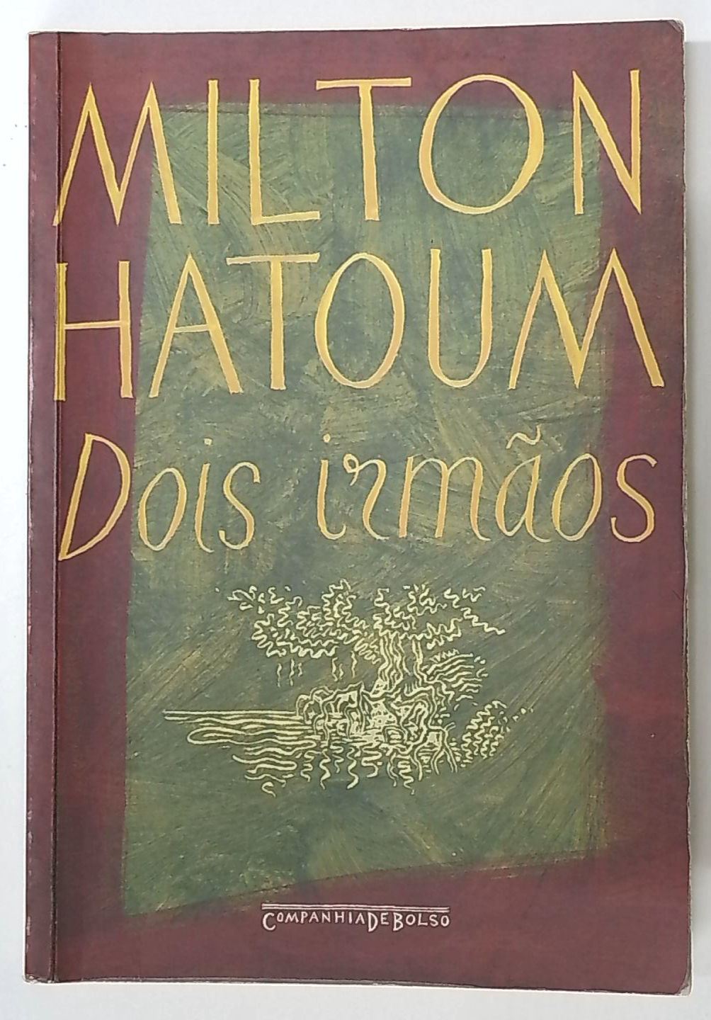 Capa do livro Dois Irmãos