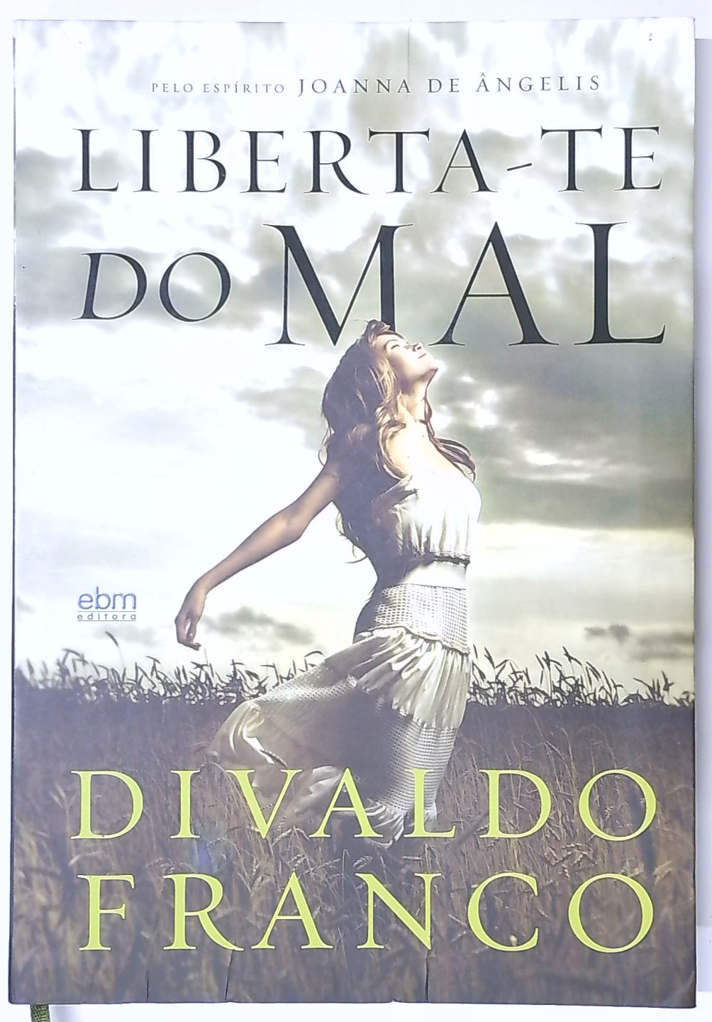 Capa do livro Liberta-te do Mal