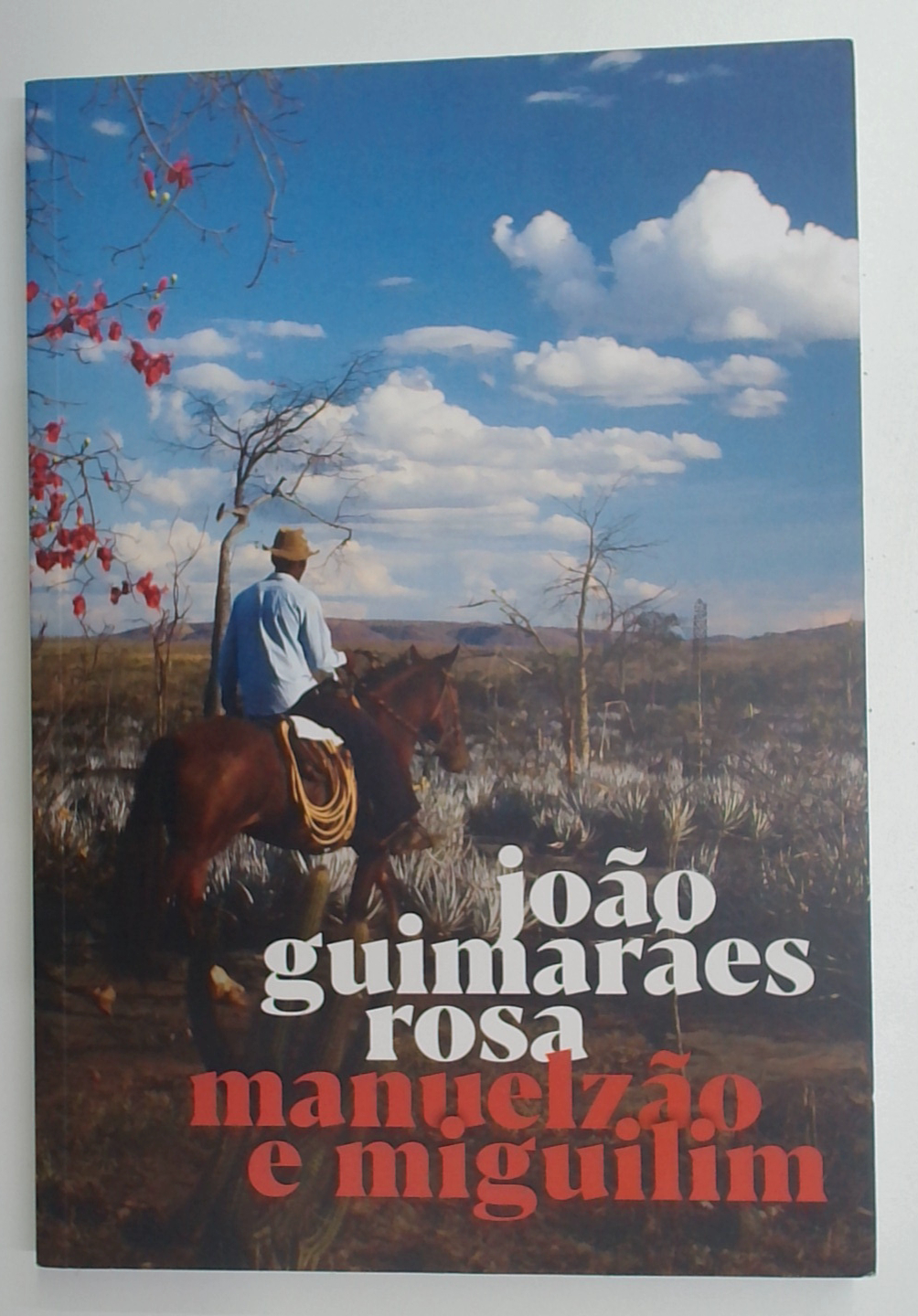 Capa do livro Manuelzão e Miguilim