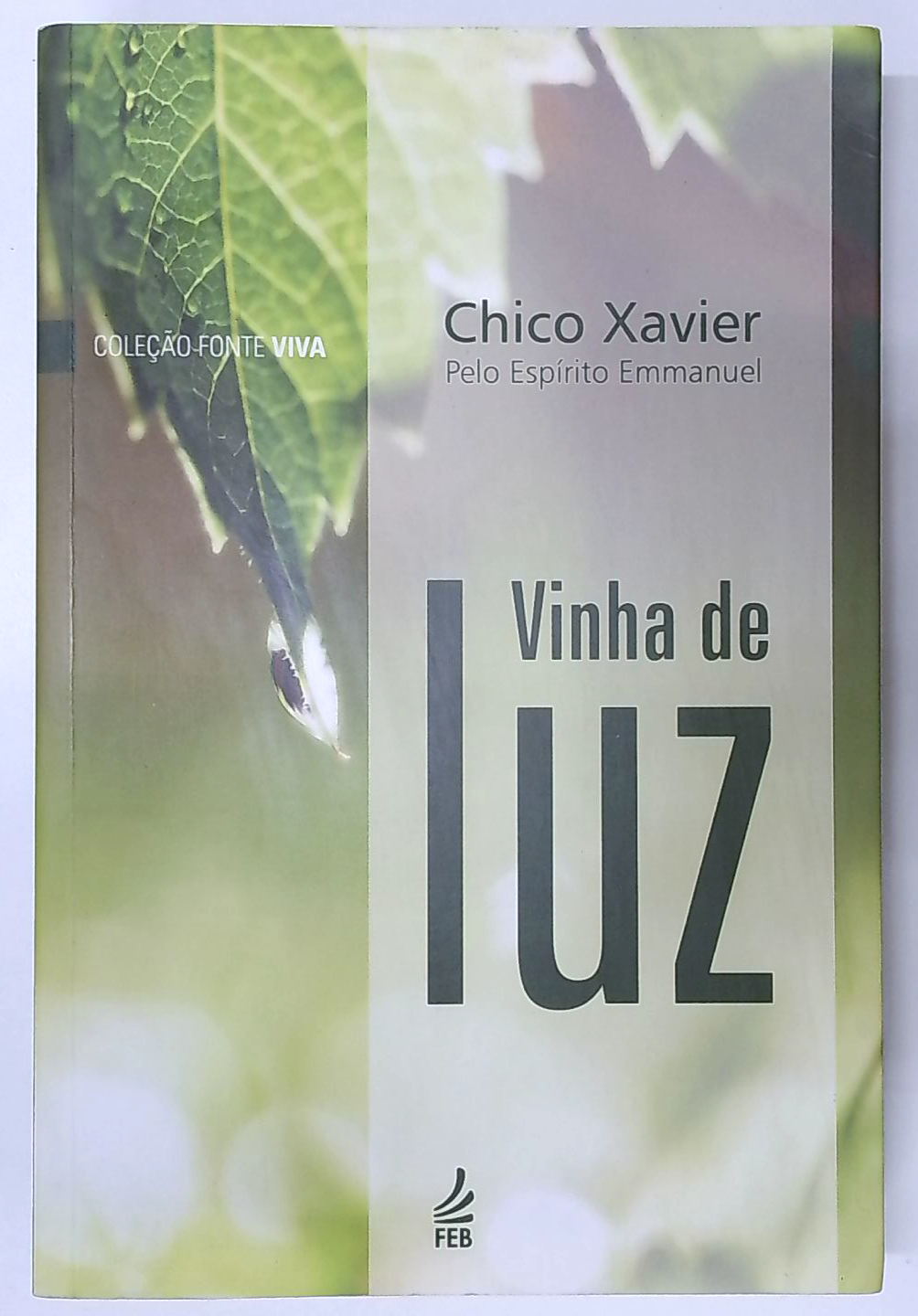 Capa do livro Vinha de Luz