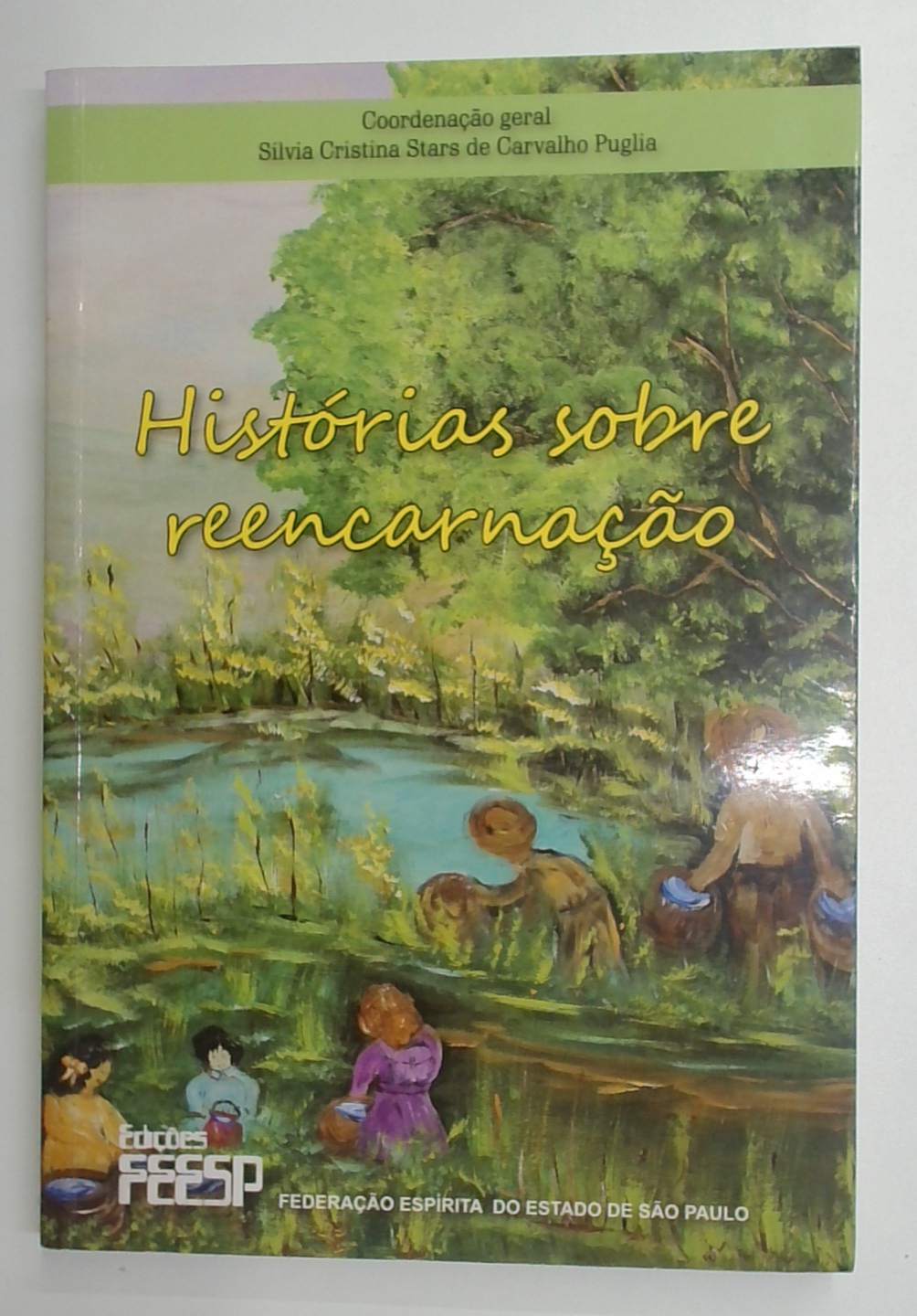 Capa do livro Histórias Sobre Reencarnação