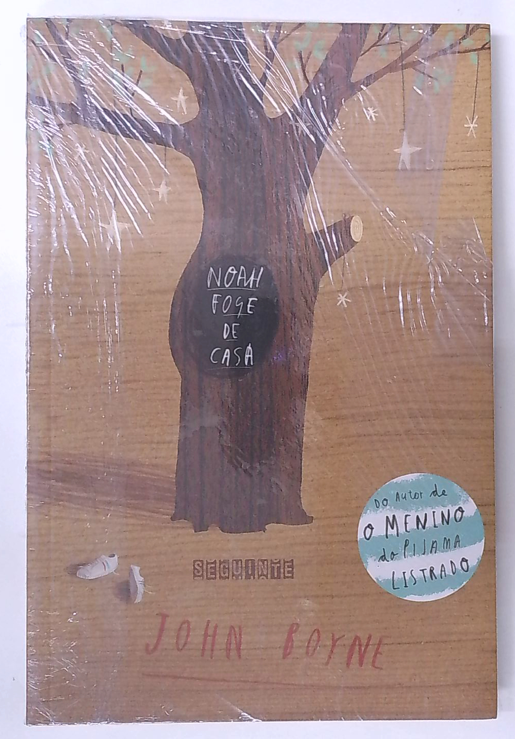 Capa do livro Noah Foge de Casa