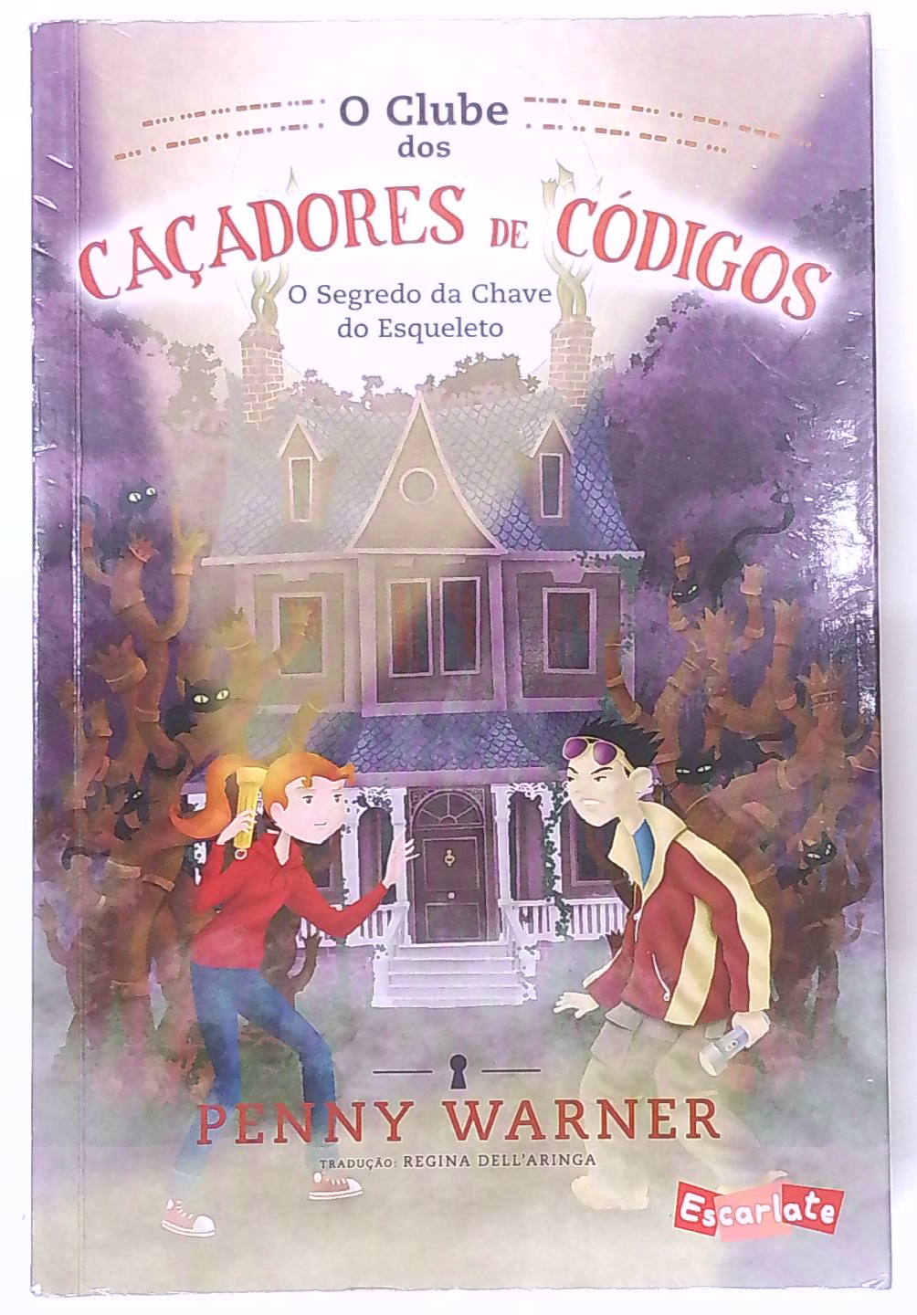 Capa do livro O Clube dos Caçadores de Códigos - Volume 1 - o Segredo da Chave do Esqueleto