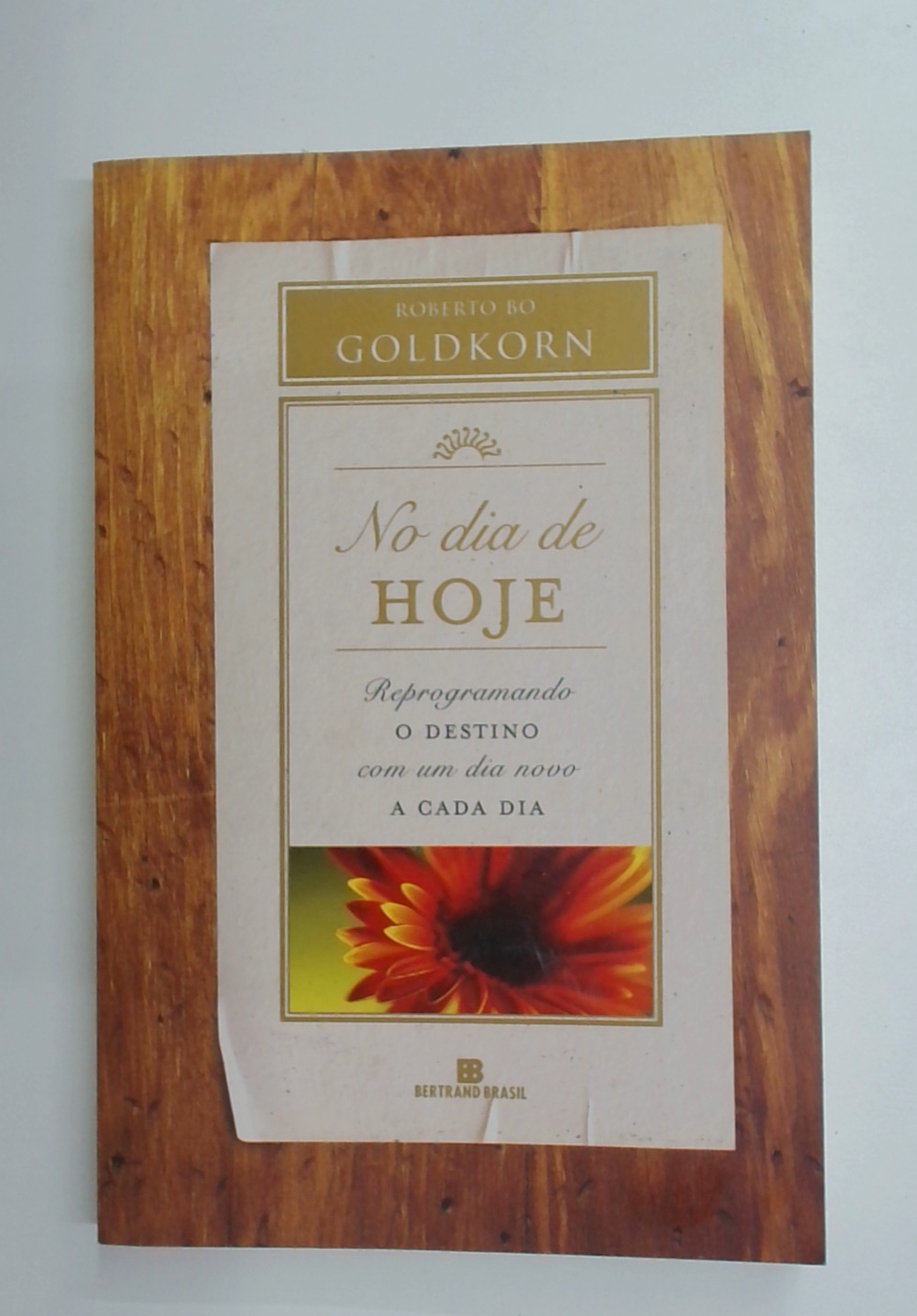 Capa do livro No Dia de Hoje