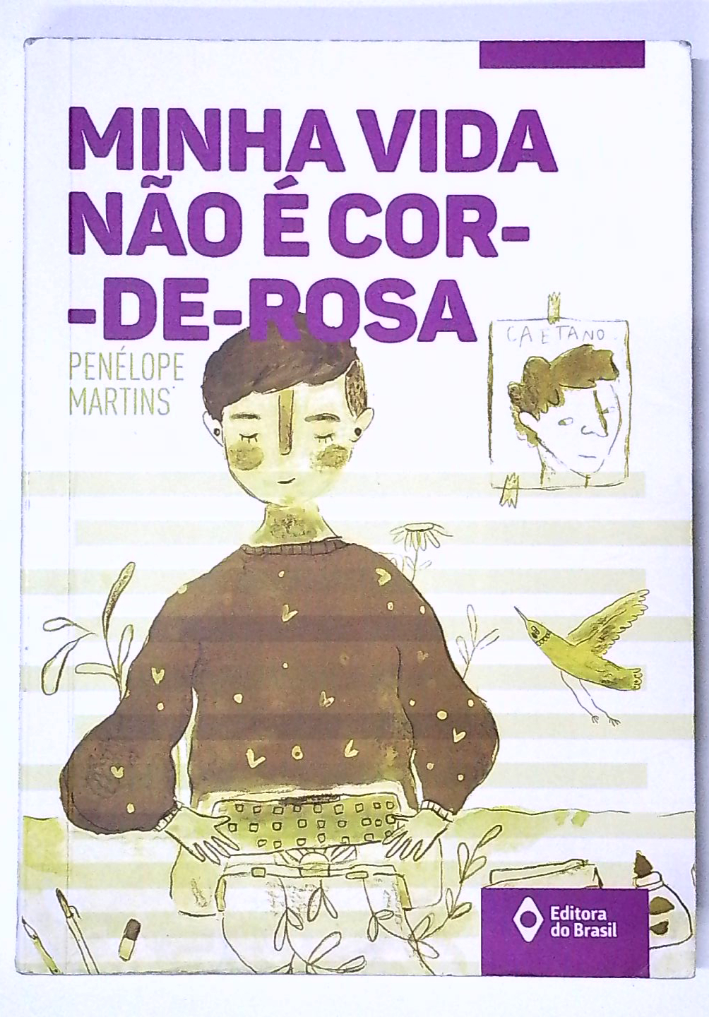 Capa do livro Minha Vida Não é Cor-de-rosa