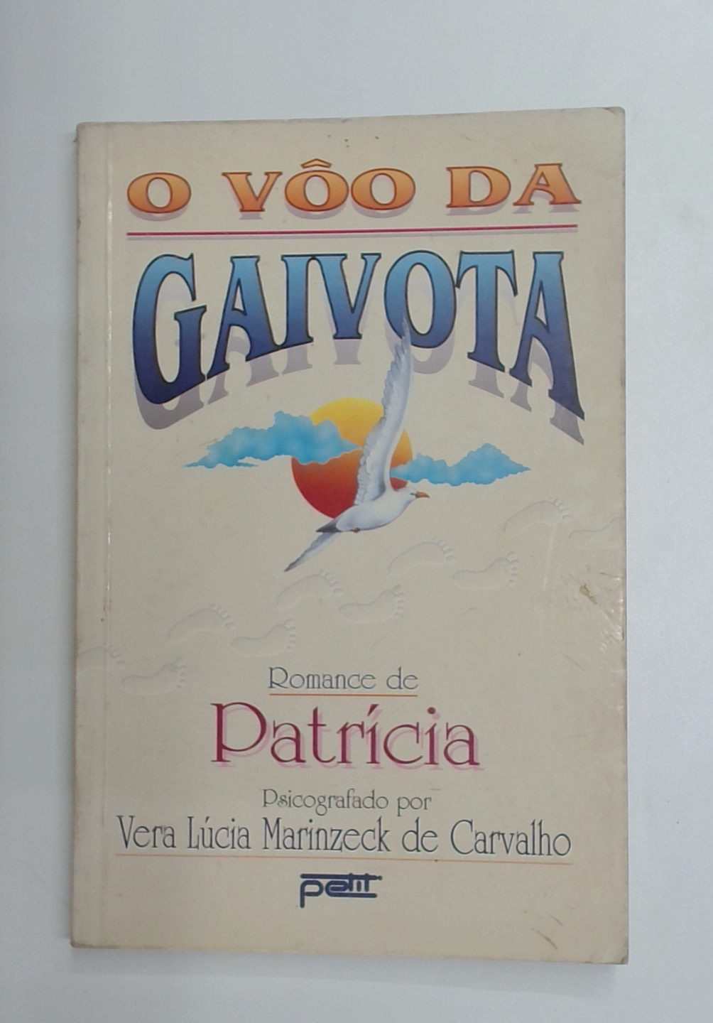 Capa do livro O Vôo da Gaivota