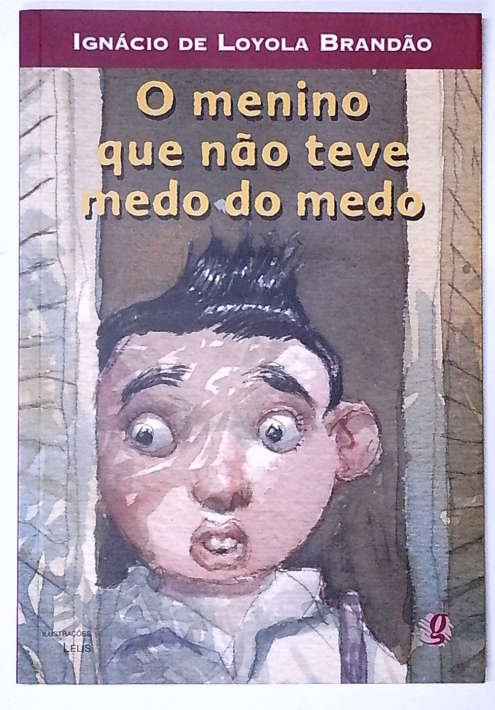 Capa do livro O Menino que Não Teve Medo do Medo