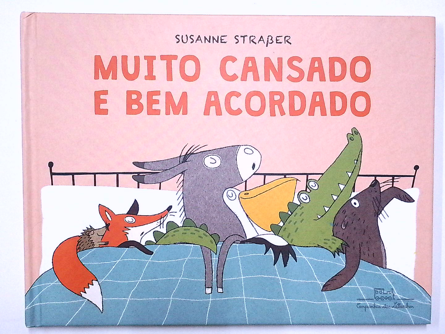 Capa do livro Muito Cansado e Bem Acordado