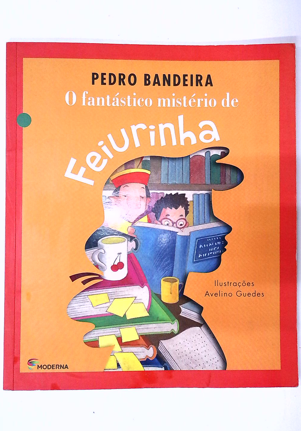 Capa do livro O Fantástico Mistério de Feiurinha