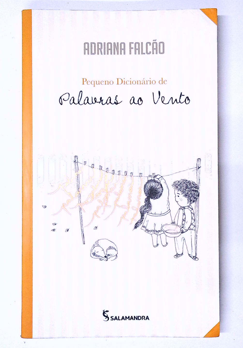 Capa do livro Pequeno Dicionário de Palavras ao Vento