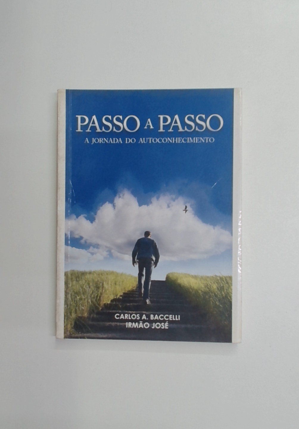 Capa do livro Passo a Passo - a Jornada do Autoconhecimento