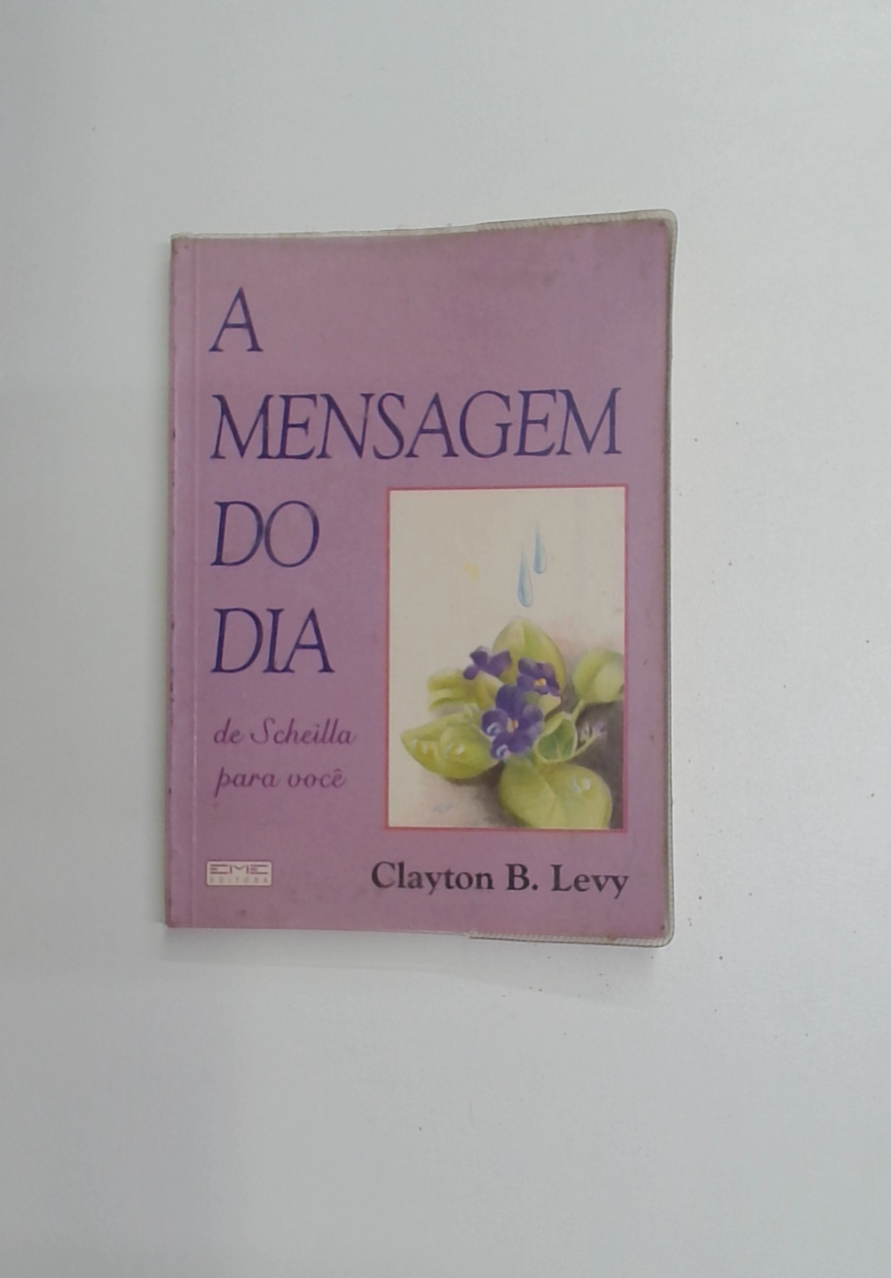 Capa do livro A Mensagem do Dia de Scheilla para Você