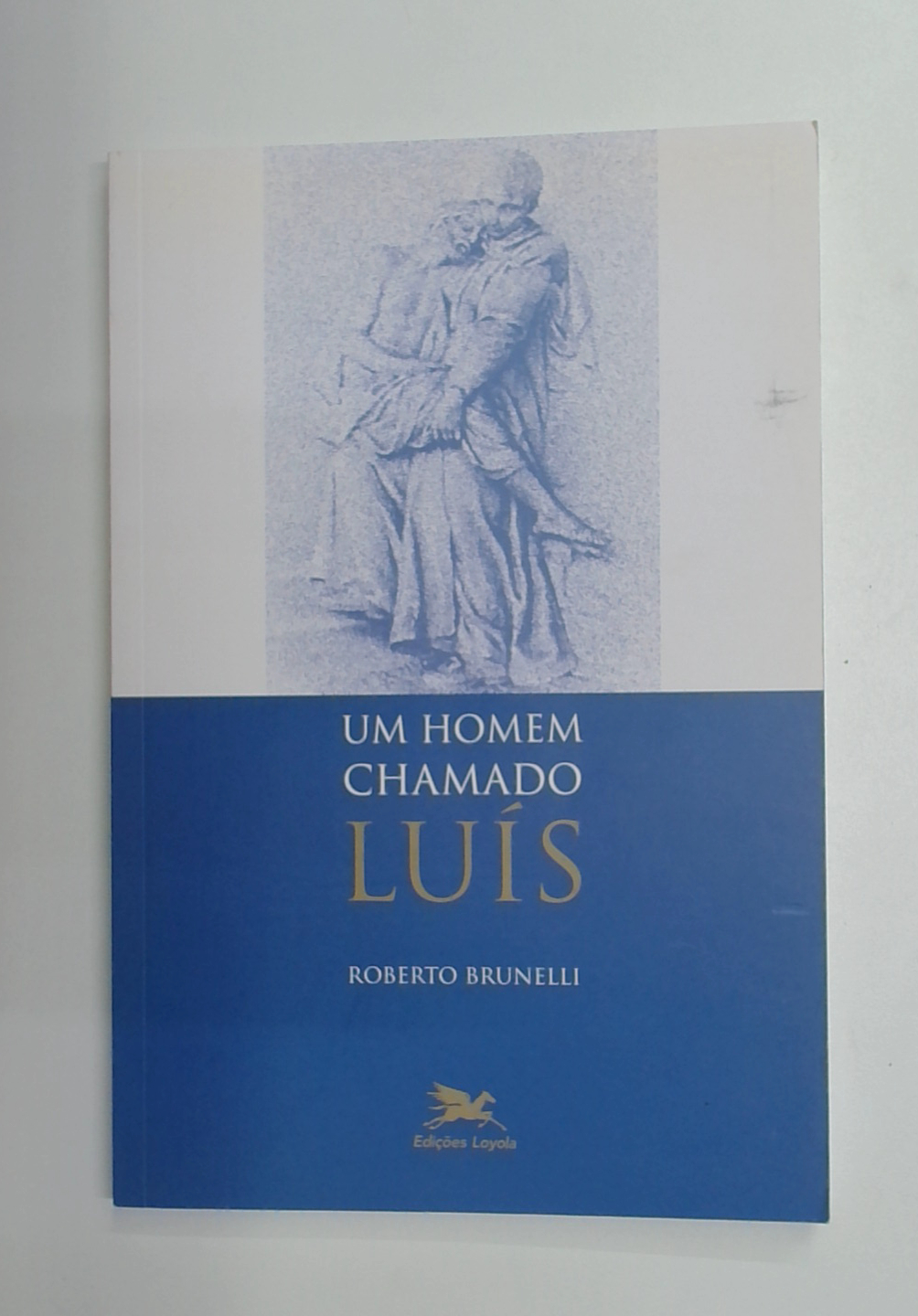 Capa do livro Um Homem Chamado Luís